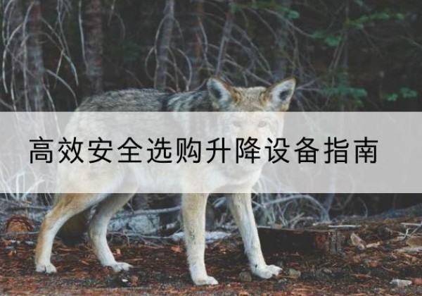 临沭升降货梯厂家推荐-*安全选购升降设备指南