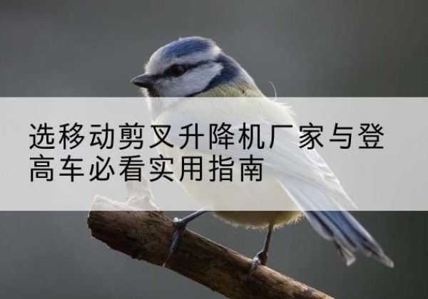 临沭电动升降机厂家-选移动剪叉升降机厂家与登高车必看实用指南